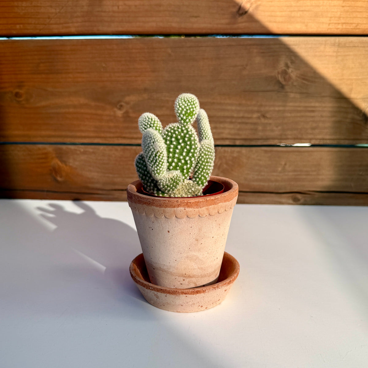 Mini Helena Planter