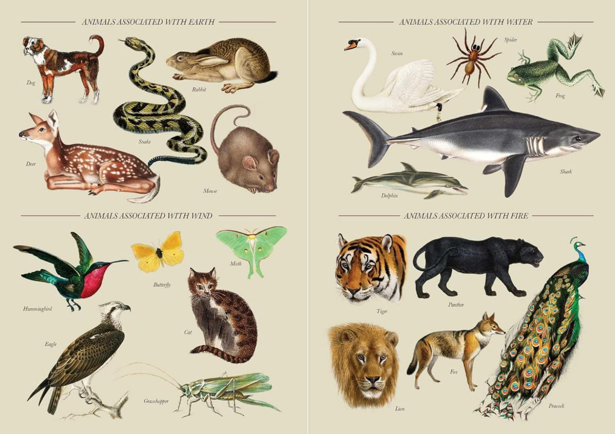 A practical guide to Magic In Nature by Jessica Lahoud