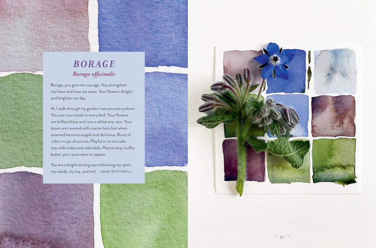 The Generosity of Plants Gathered by Rosemary Gladstar