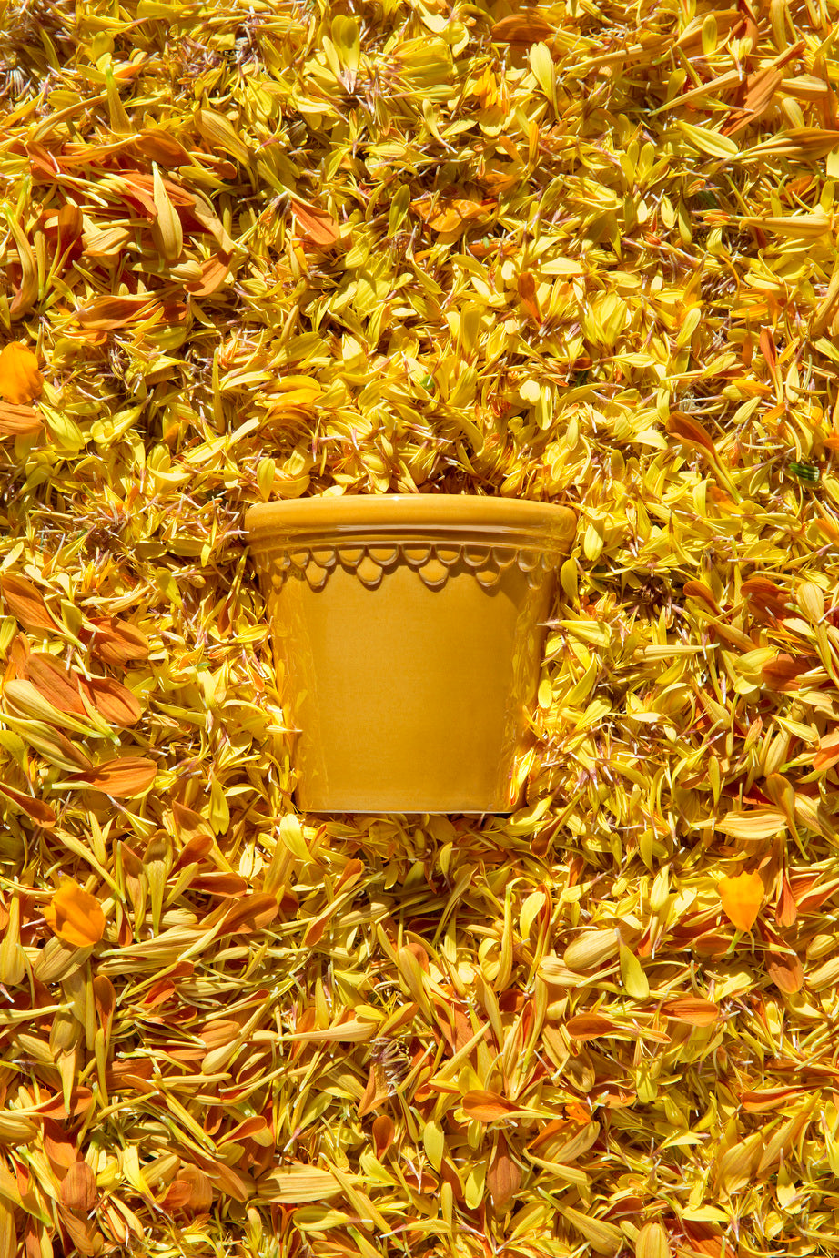 Yellow Kobenhavner Planter