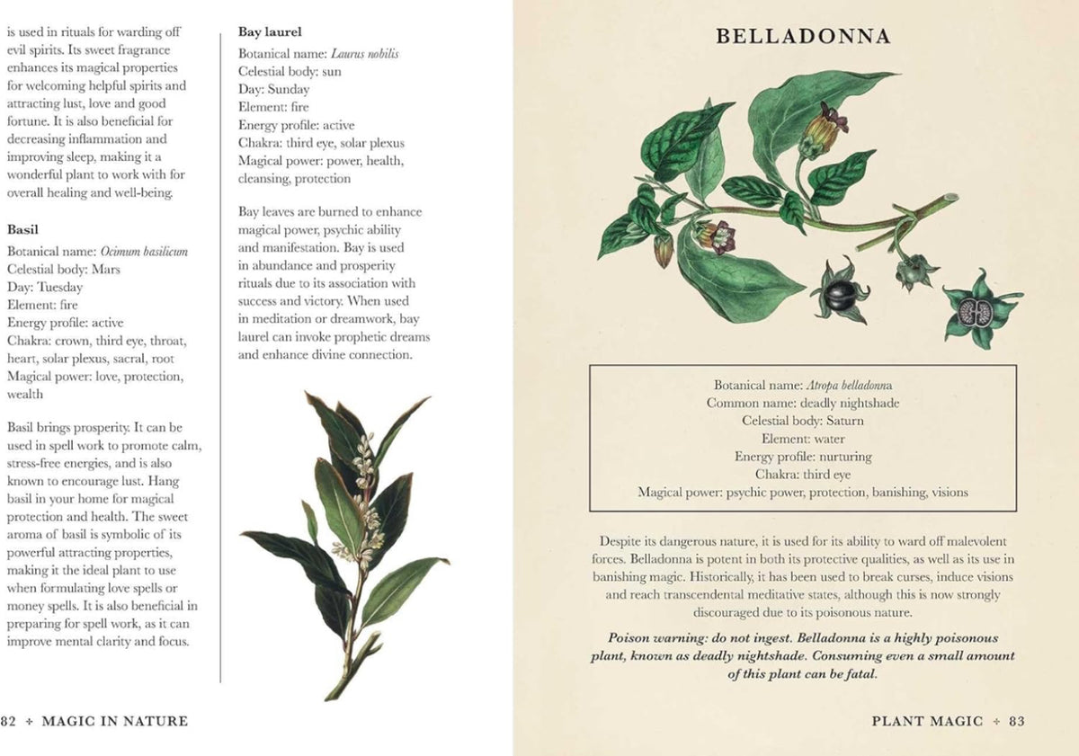 A practical guide to Magic In Nature by Jessica Lahoud