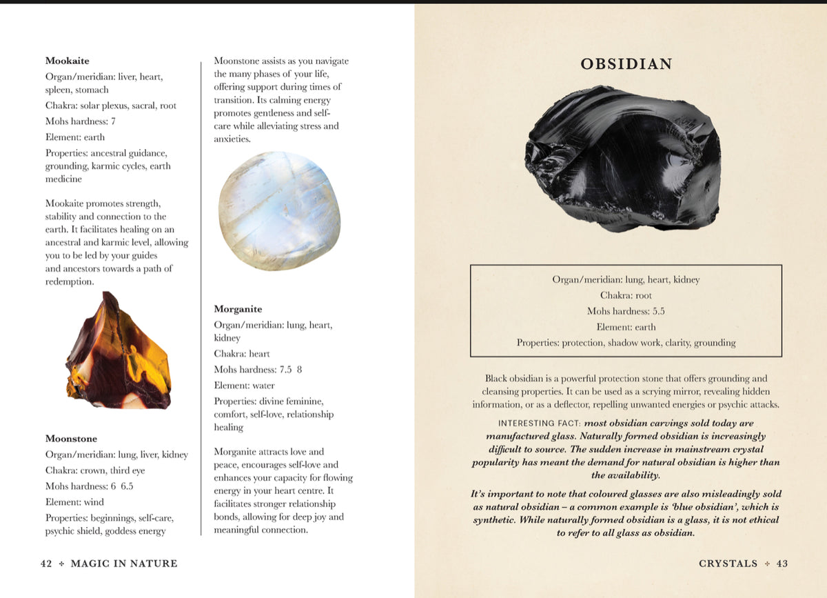 A practical guide to Magic In Nature by Jessica Lahoud