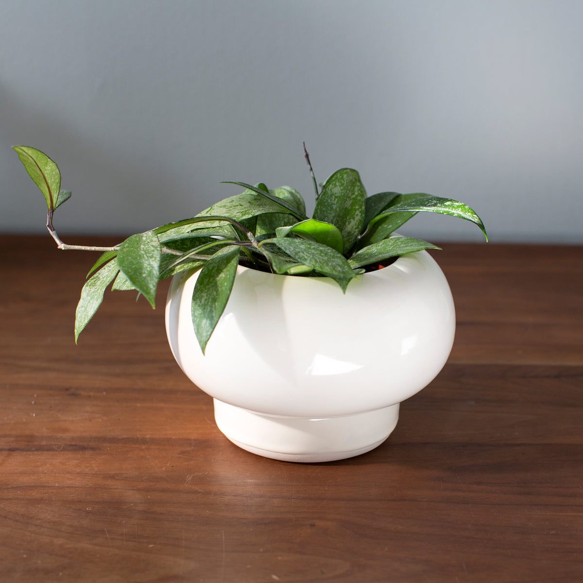 cream ceramic planter with detached base