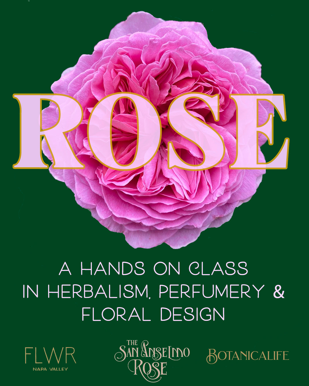 Rose: A Hands On Class in Herbalism, Perfumery and Floral Design
