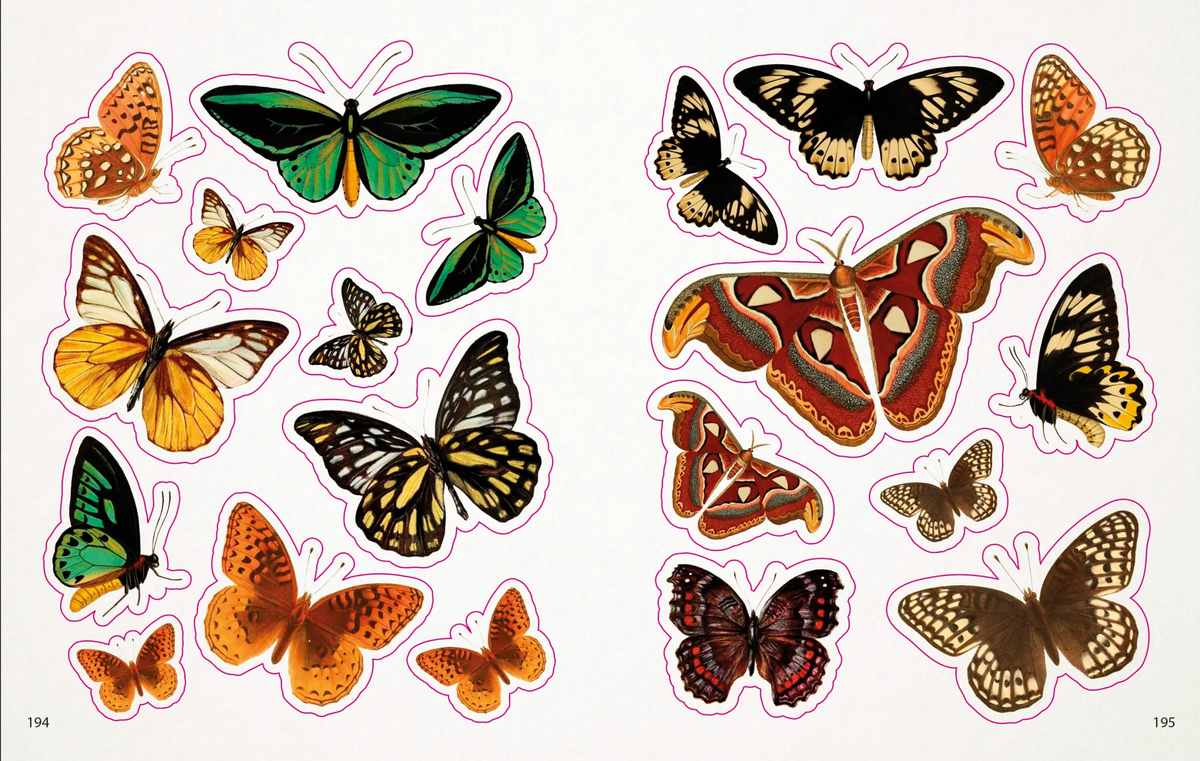 The Bees, Birds &amp; Butterflies Sticker Anthology