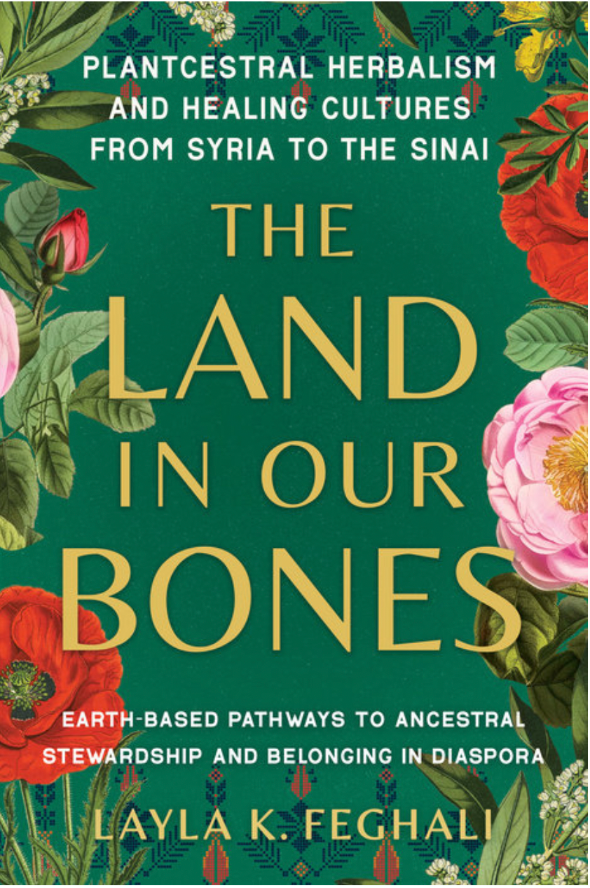 The Land in Our Bones by Layla K. Feghali
