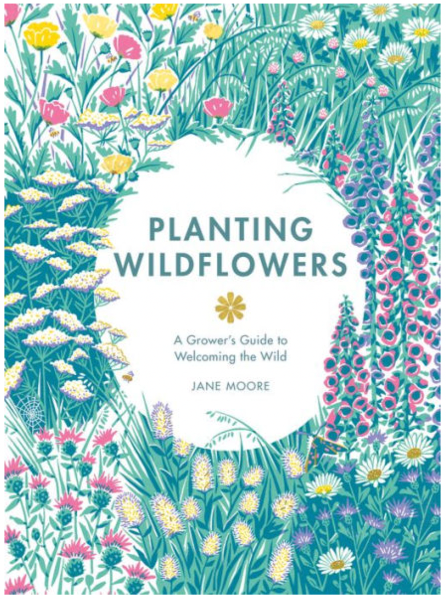 Planting Wildflowers by Jane Moore