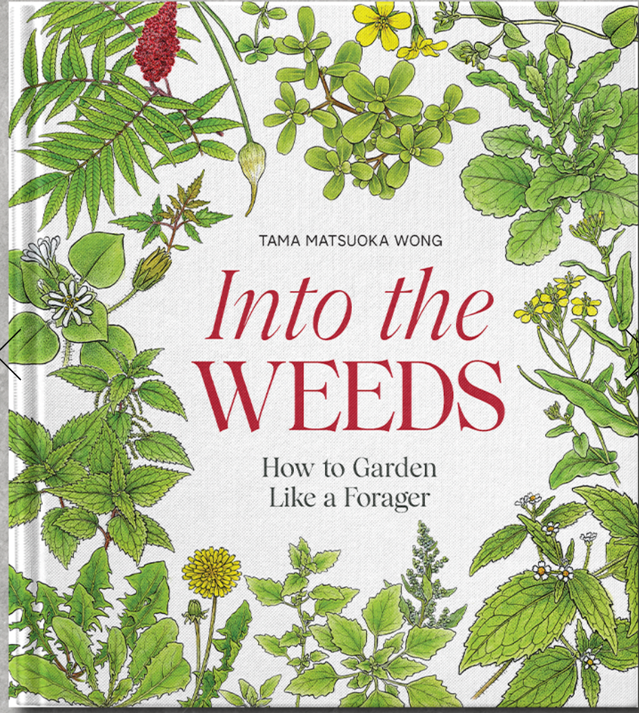 Into The Weeds How To Garden Like a Forager Tama Matsuoka Wong