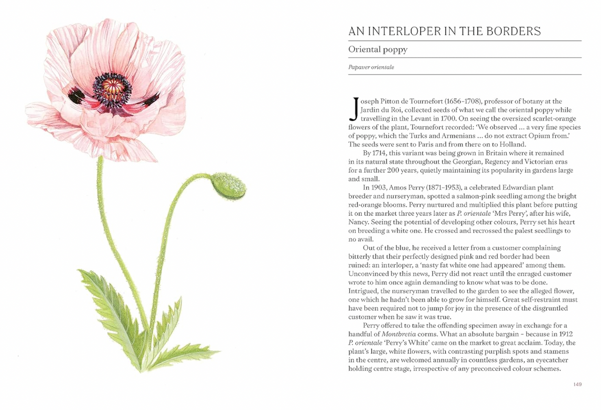 A Short History of Flowers by Advolly Richmond