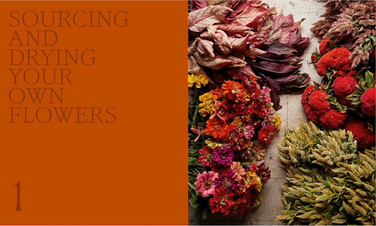 Designing With Dried Flowers by Hannah Rivers Muller