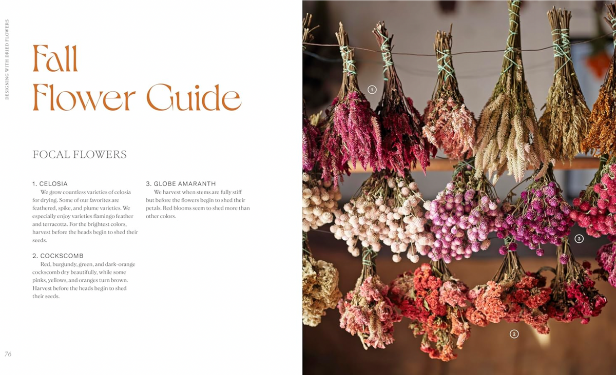 Designing With Dried Flowers by Hannah Rivers Muller