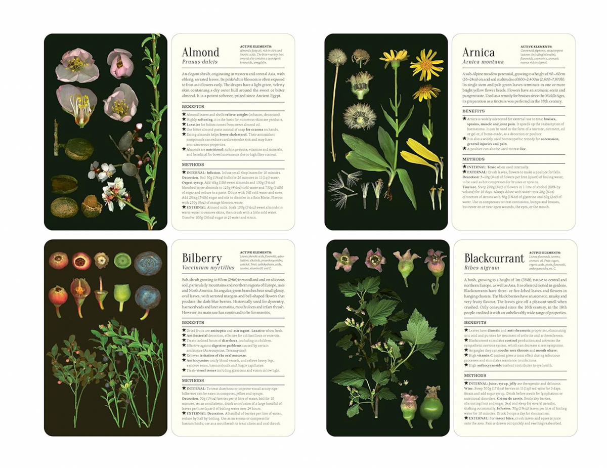 50 Plants That Heal Deck