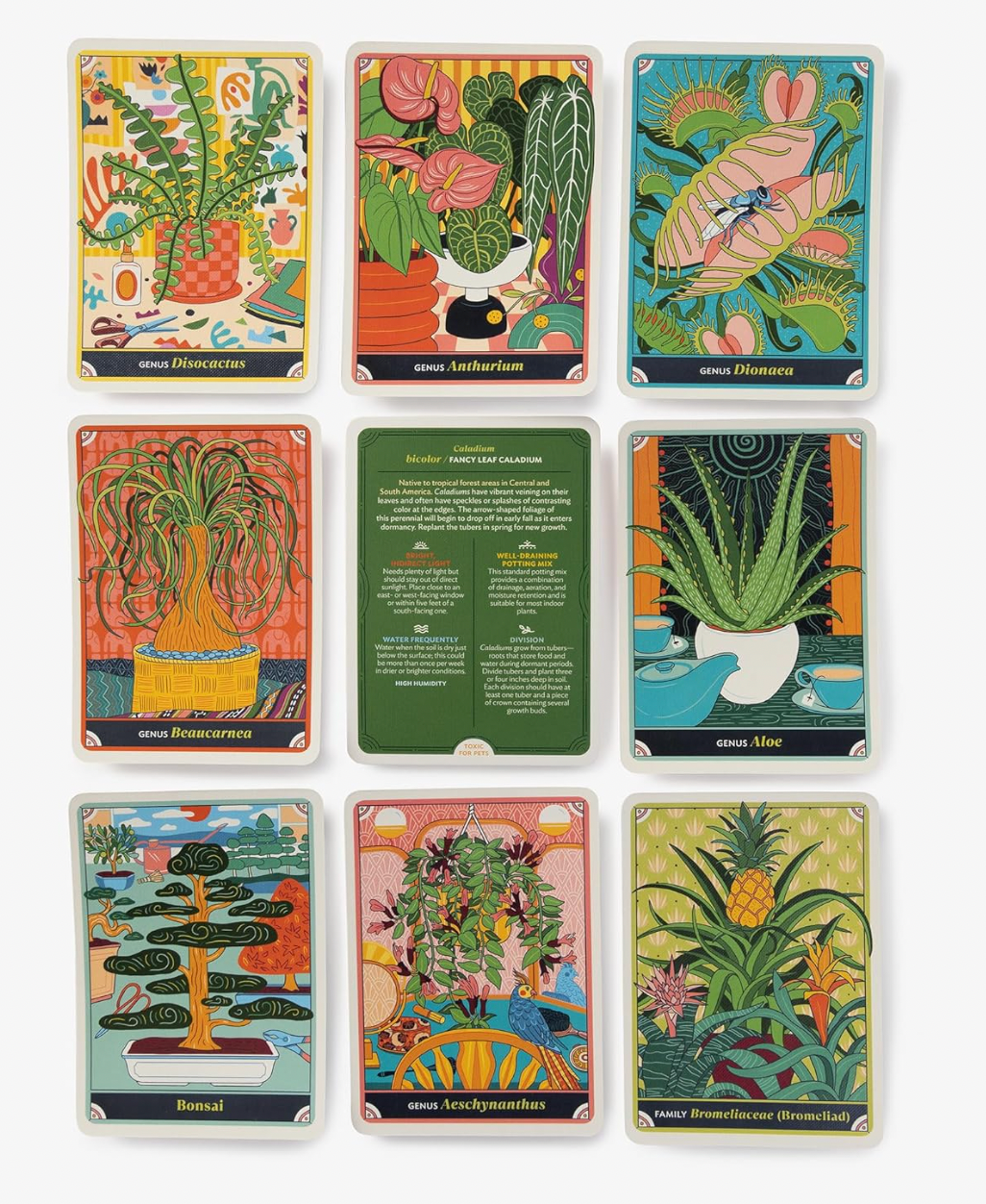 The Happy Houseplant: 50 Cards for Intuitive Plant Care By Caitlin Keegan