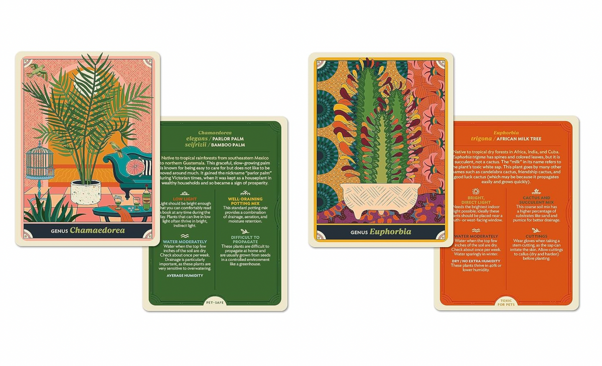 The Happy Houseplant: 50 Cards for Intuitive Plant Care By Caitlin Keegan