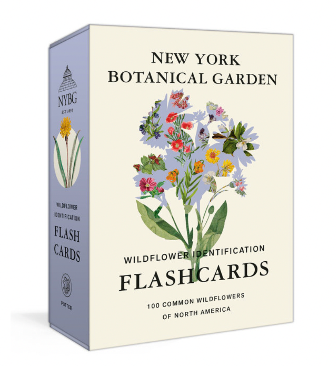 New York Botanical Garden Wildflower Identification Flashcards