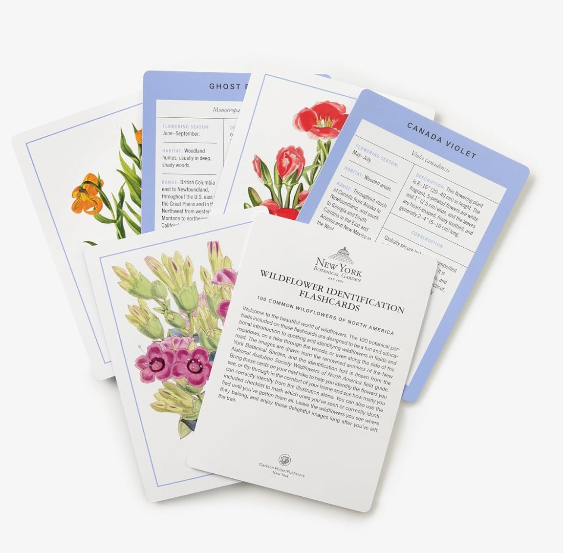 New York Botanical Garden Wildflower Identification Flashcards