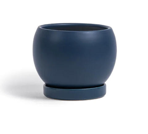Bolle Planter with Saucer