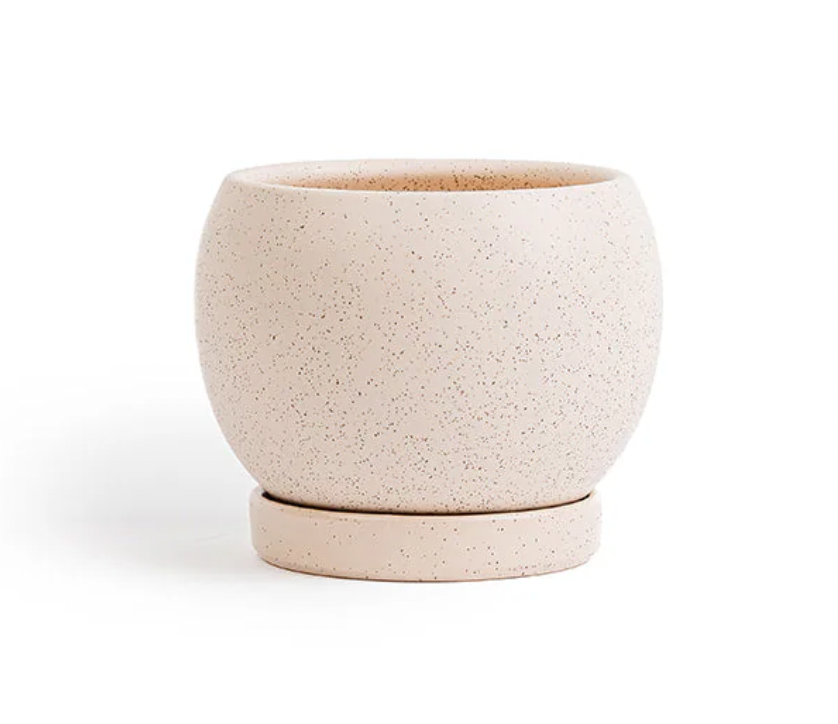 Bolle Planter with Saucer