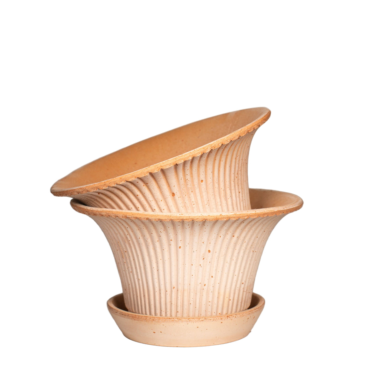 Daisy Raw Rosa Planter