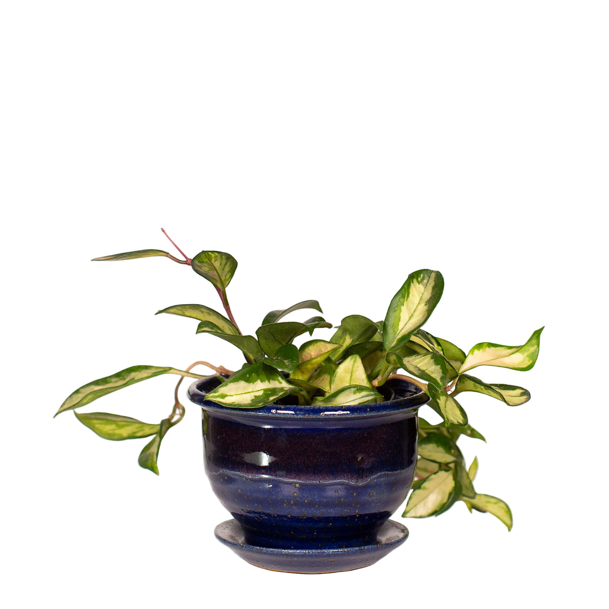 Small Classic Planter