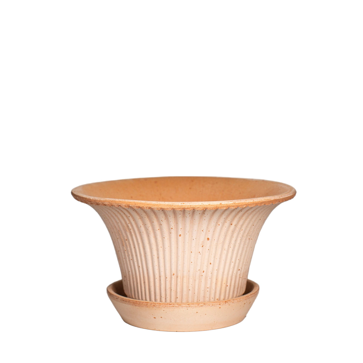 Daisy Raw Rosa Planter