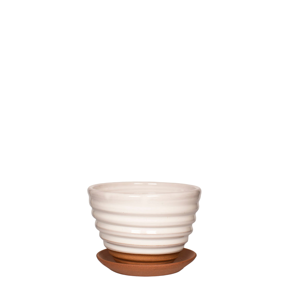 6" White Ridged Planter with Terra Cotta Saucer