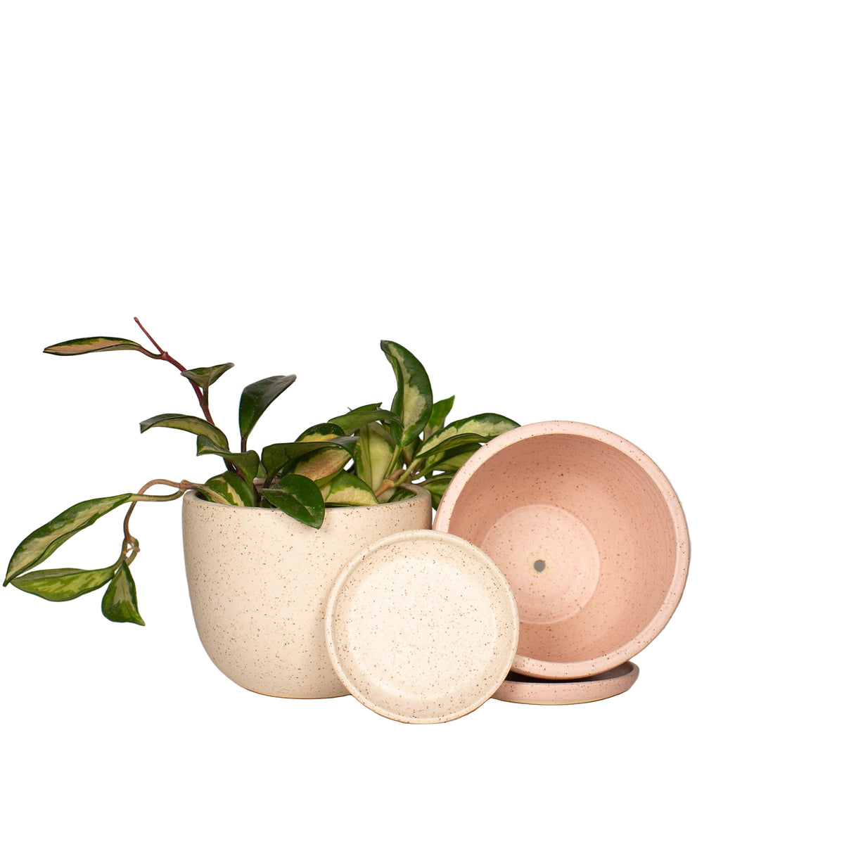 Speckled Planter with Saucer