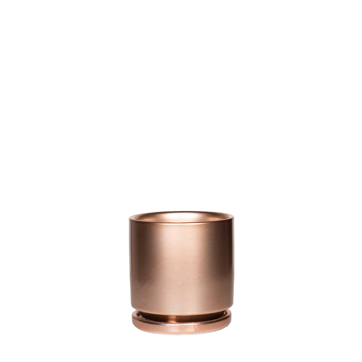 Rose Gold Metallic Planter Pot with Saucer