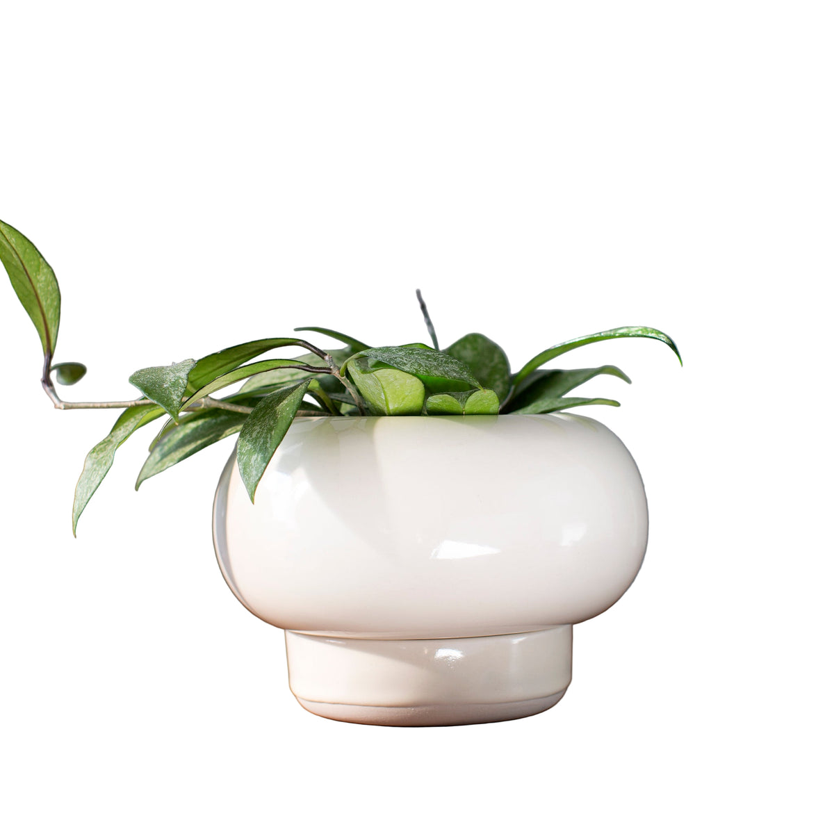 cream ceramic planter with detached base
