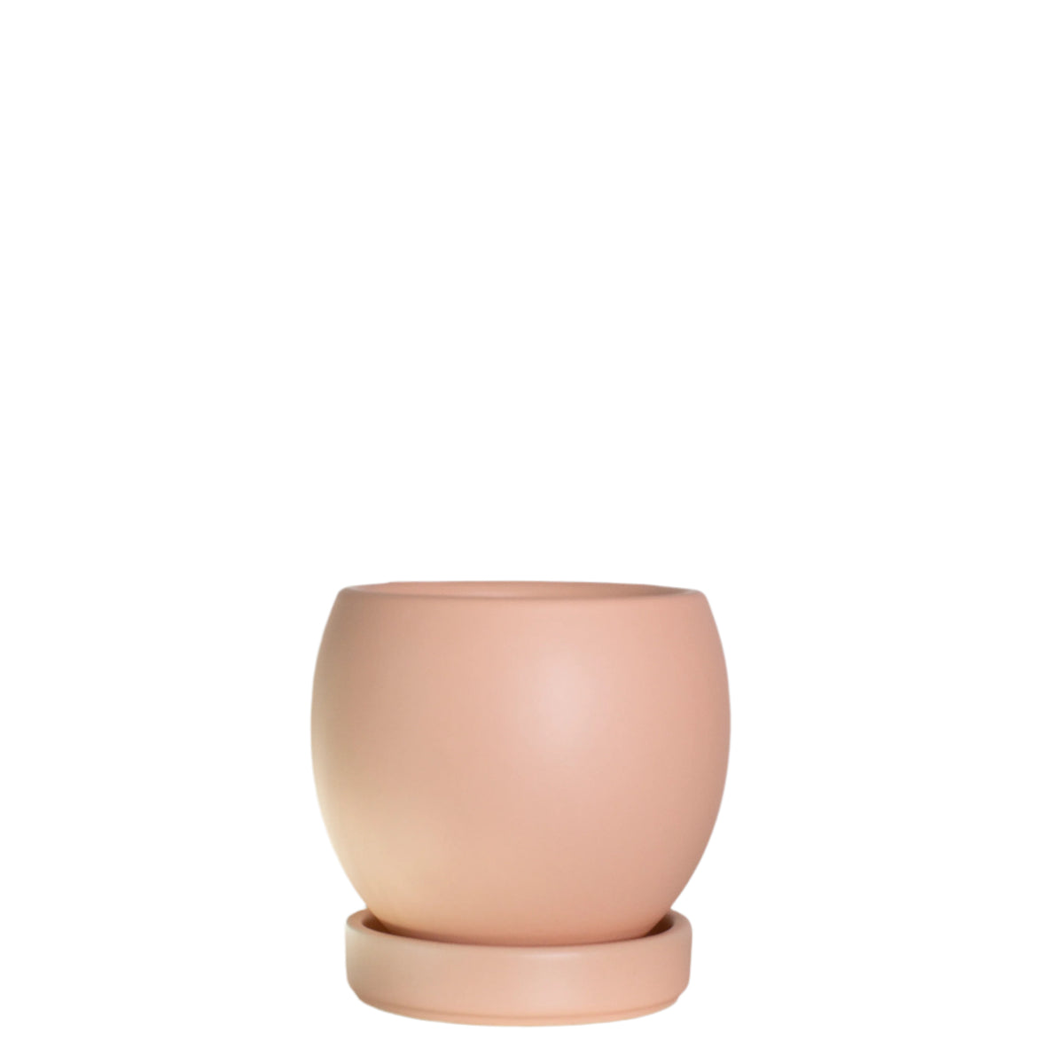 Bolle Planter with Saucer