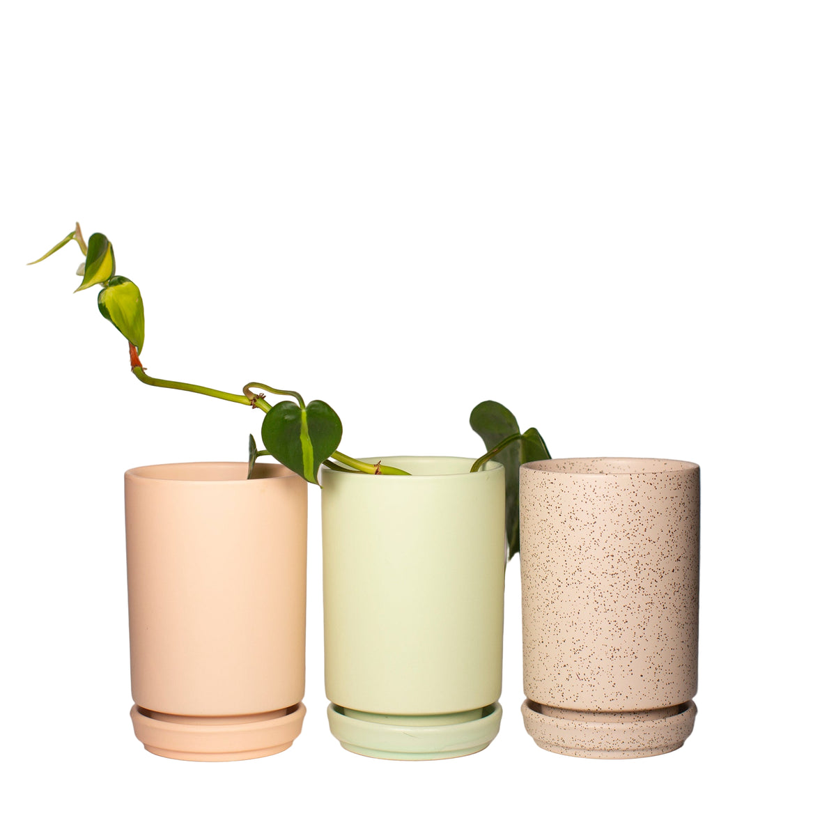 Tall Cylinder Propagation Planter with Saucer