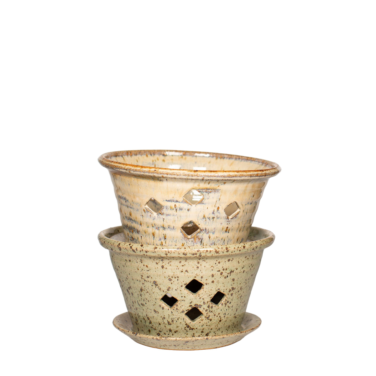 orchid plant pots uk Orchid Planter