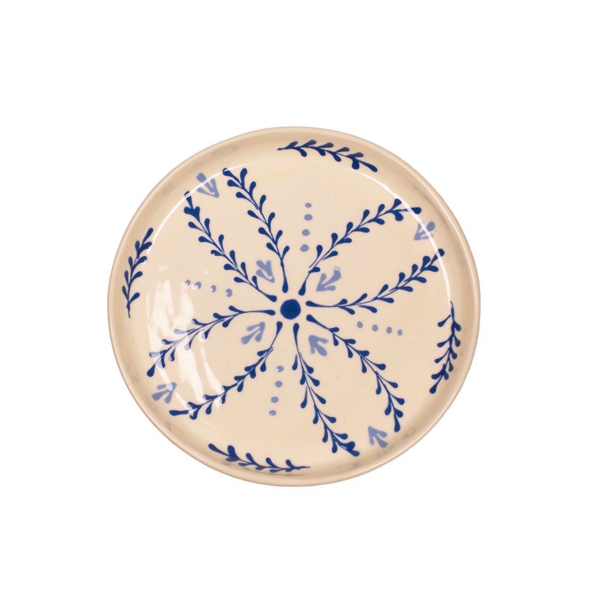 Ceramic plate with blue floral pattern on a beige background