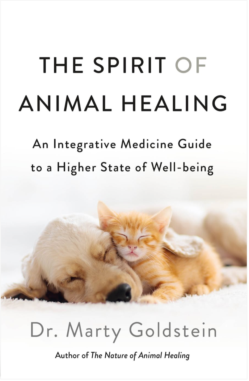 The Spirit of Animal Healing by Dr Marty Goldstein