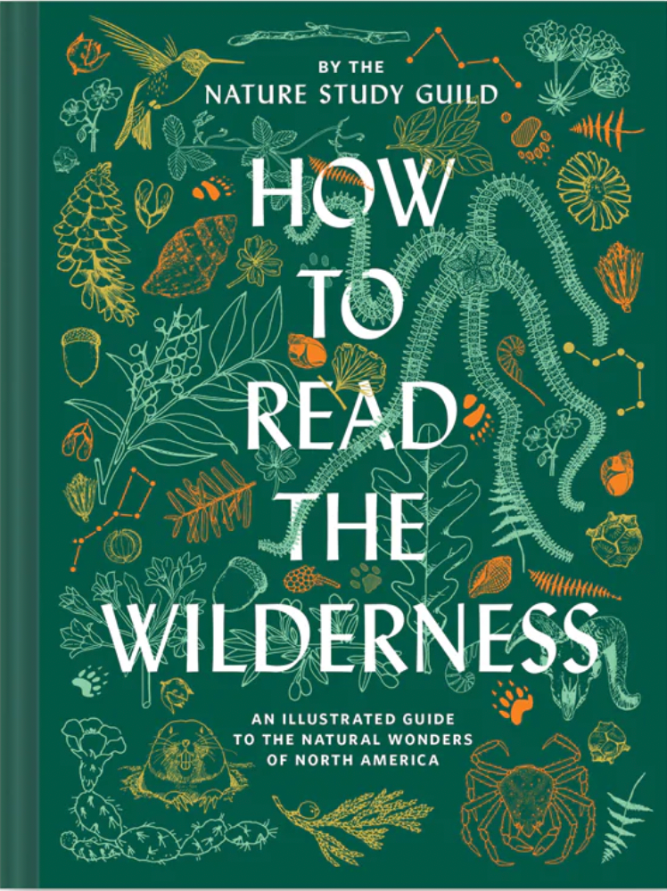 How To The Wilderness by Nature Study Guild