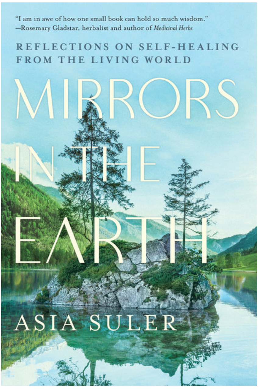 Mirrors in the Earth by Asia Suler