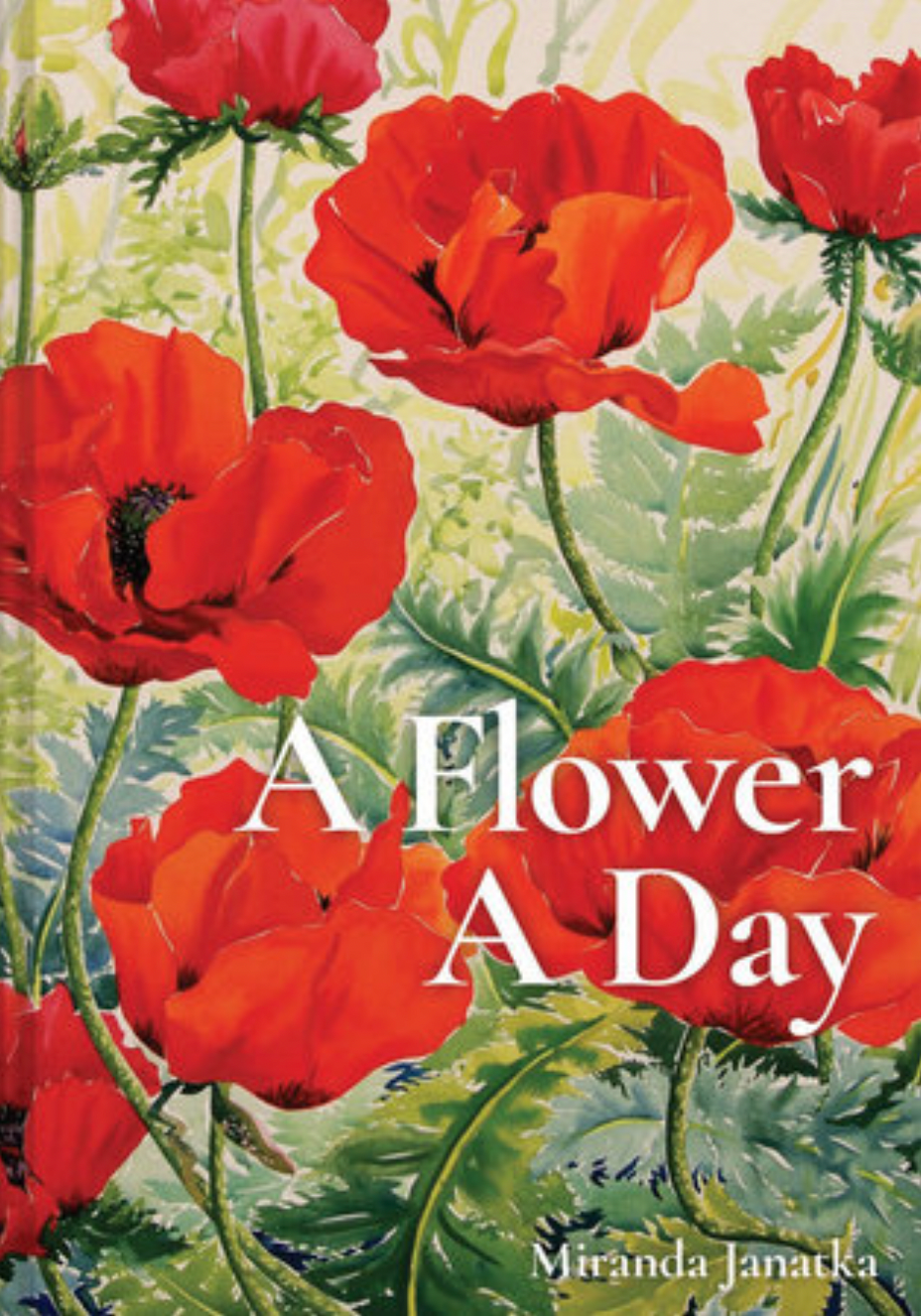 A Flower A Day by Miranda Janatka