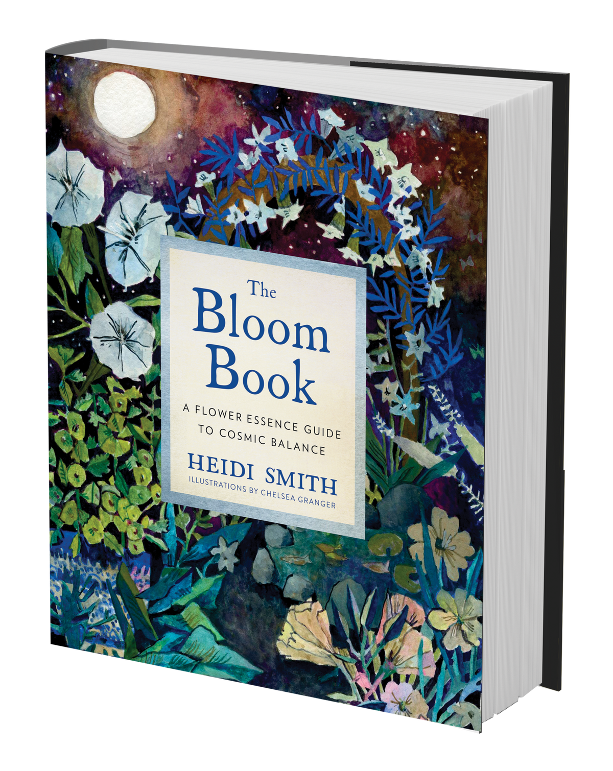 The Bloom Book by Heidi Smith