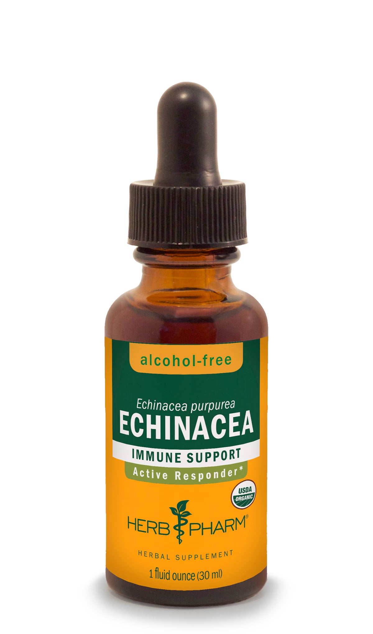Echinacea Glycerite