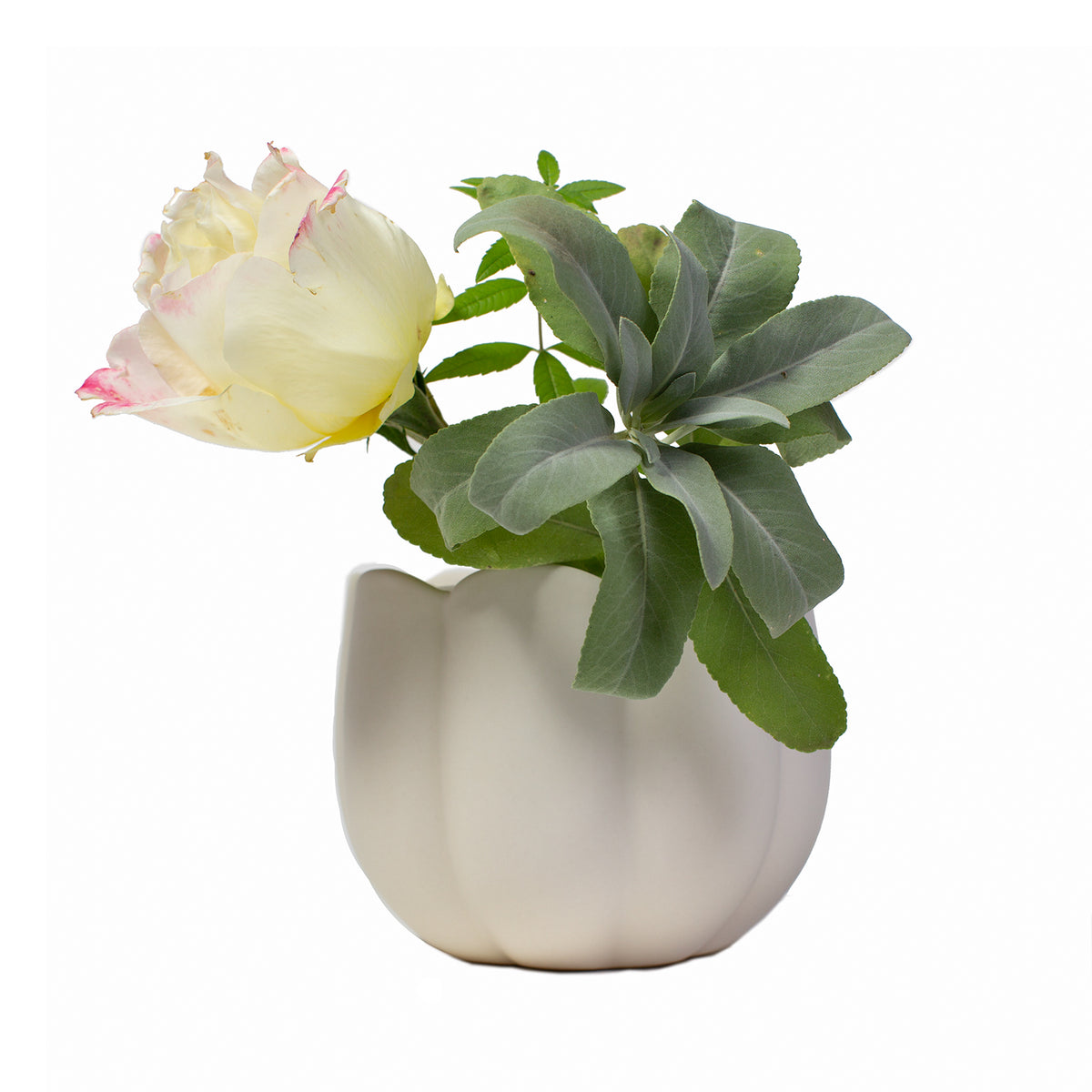 Flower Frog Vase