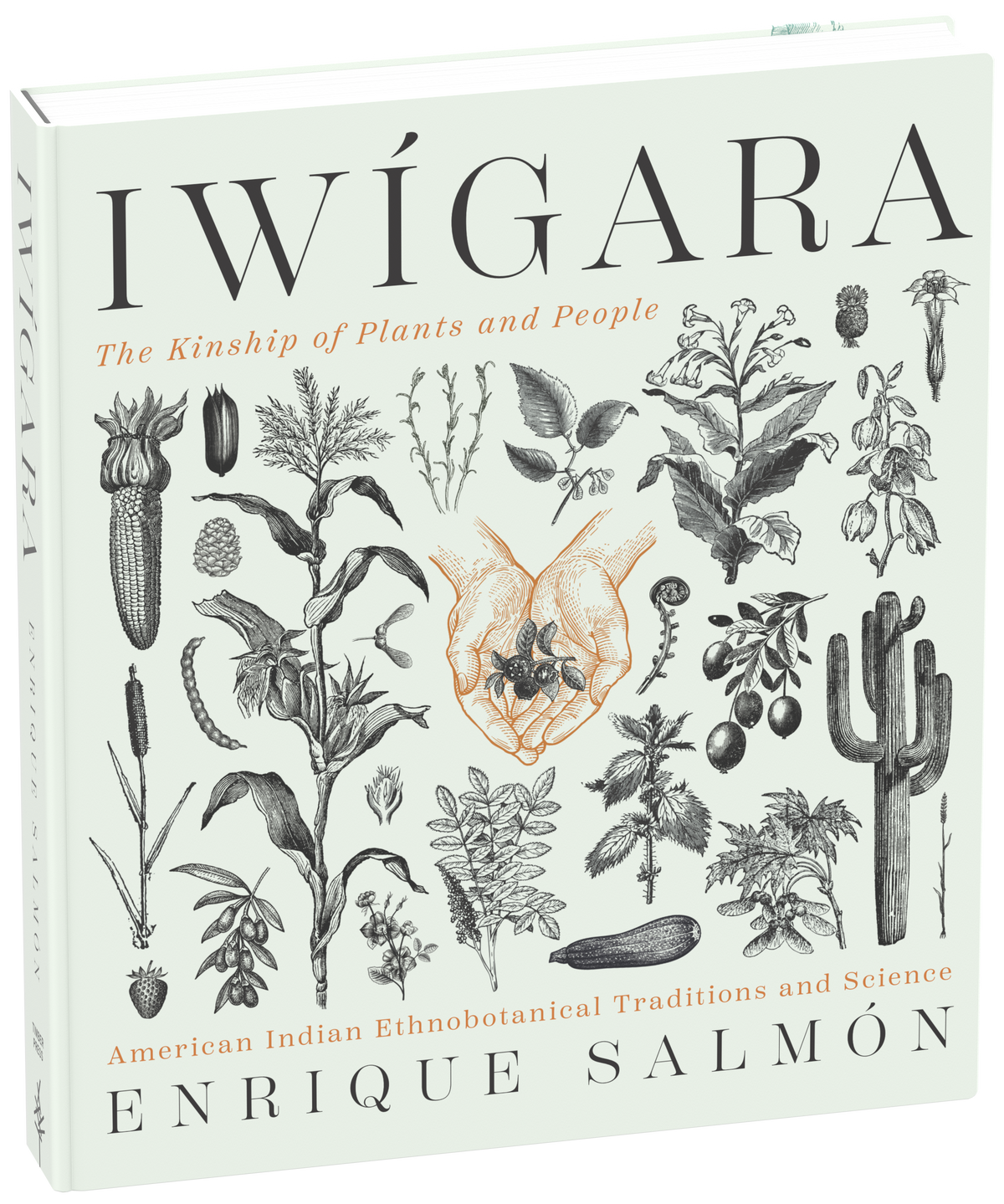 Iwigara -  American Indian Ethnobotanical Traditions and Science