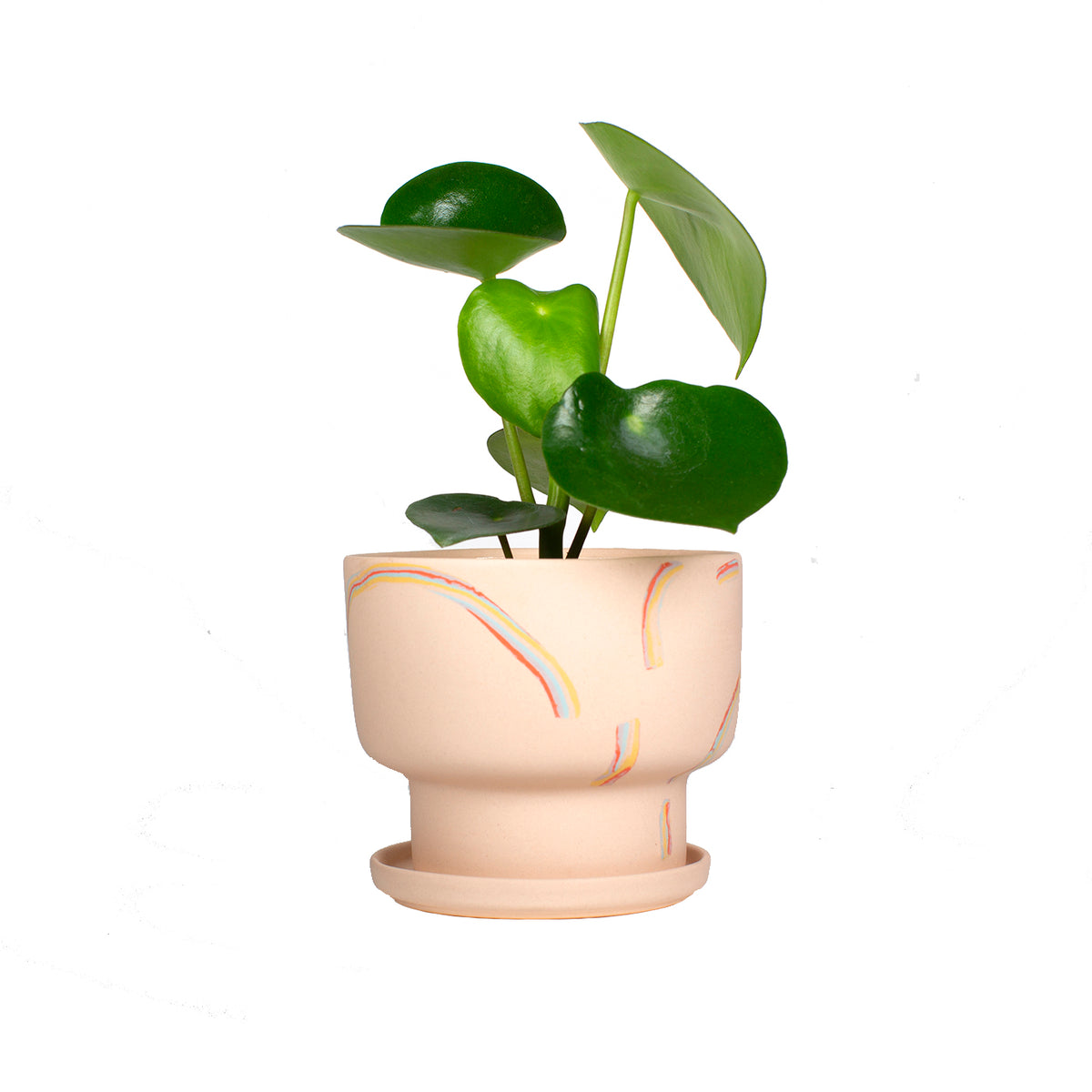 Rainbow Nerikomi Planter