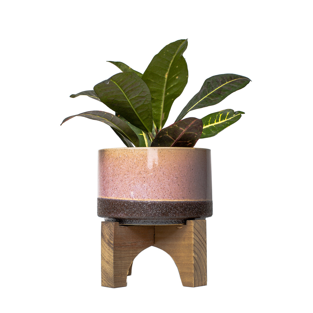 Pink and Brown Planter on Wood Stand
