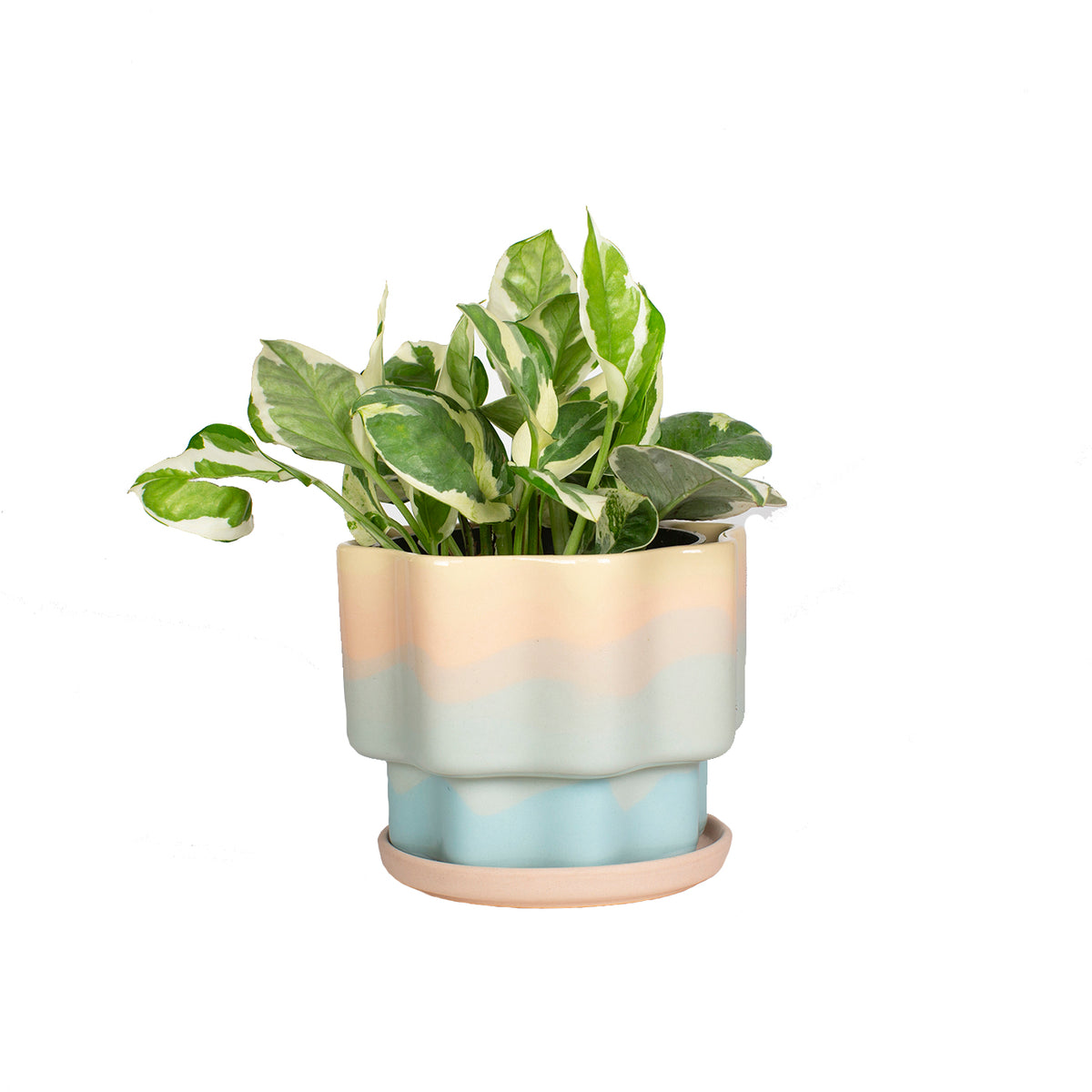 Wavy Sunset Planter